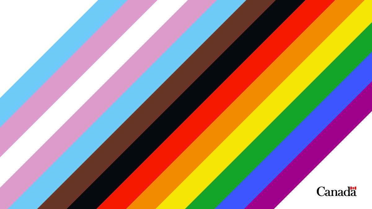 Transgender Flag coloured stripes and Pride Flag coloured stripes 