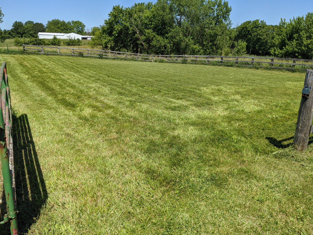 BradPeel3's tweet photo. Pretty impressed with my 1025R.
24" tall grass 2 passes.
#barebackmafia
#NOTAndyclean
@sloanimplement
#mow2020 https://t.co/Spk7hErH0B