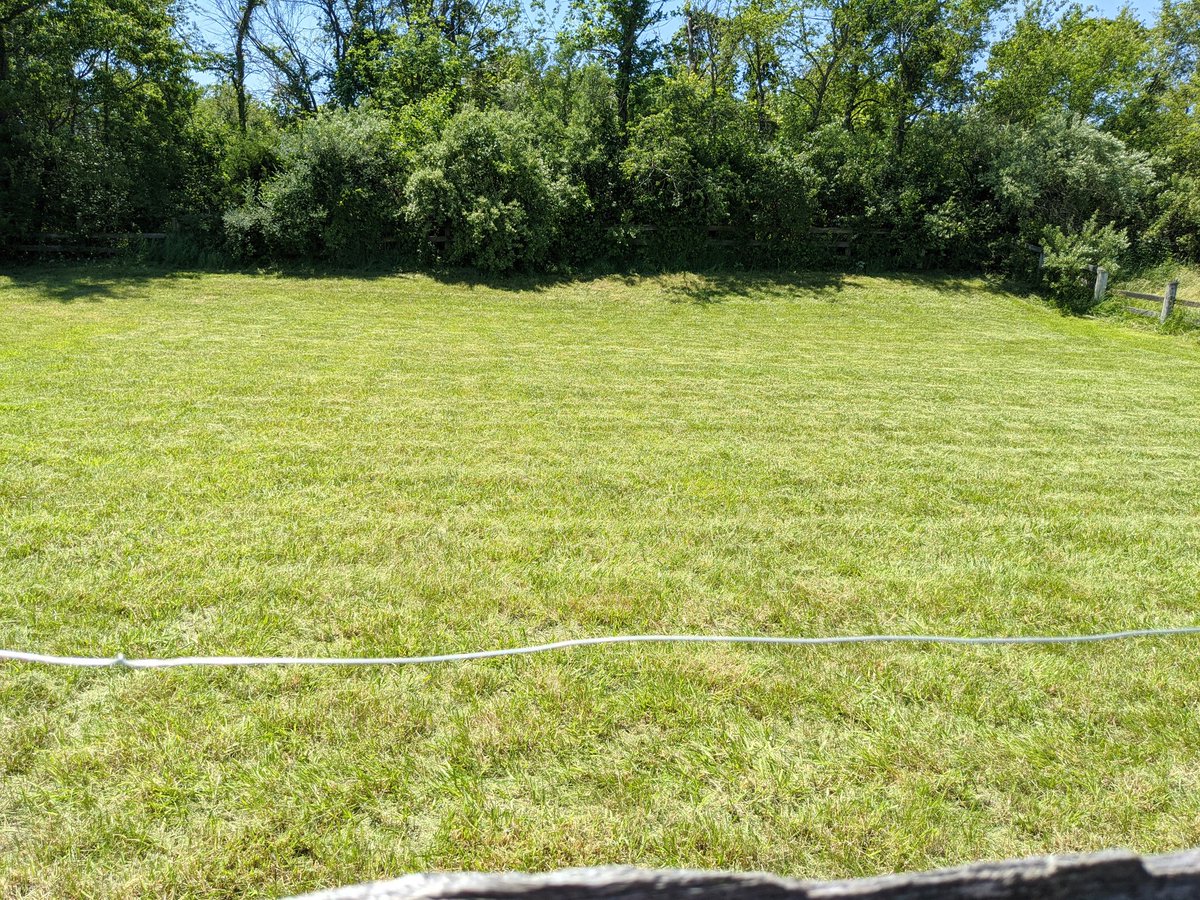 BradPeel3's tweet photo. Pretty impressed with my 1025R.
24" tall grass 2 passes.
#barebackmafia
#NOTAndyclean
@sloanimplement
#mow2020 https://t.co/Spk7hErH0B