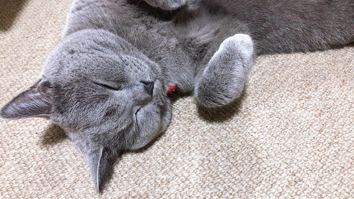 うにの秘密基地