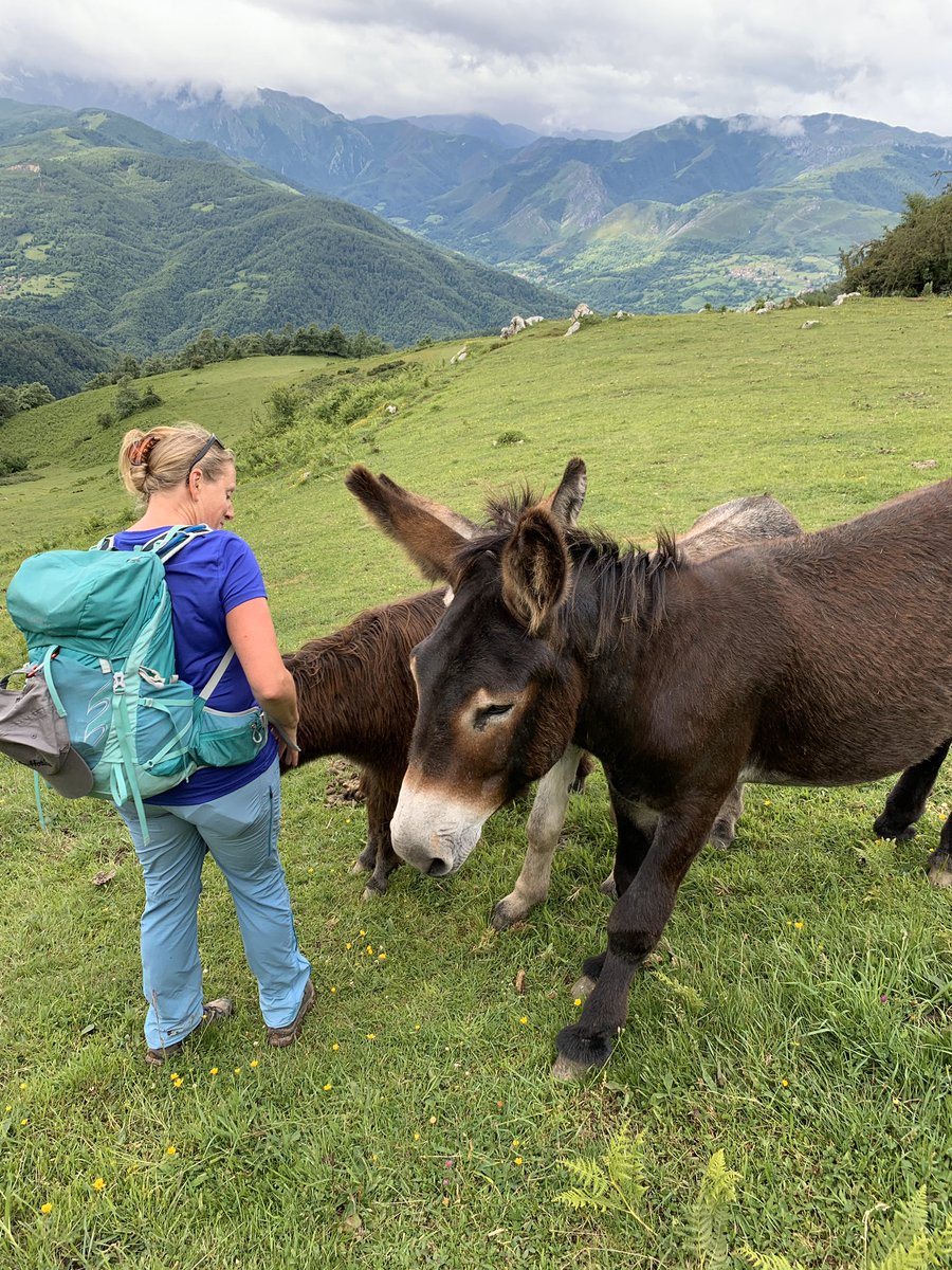 SpanSteps's tweet photo. Trekking the GR 109 in Asturias. https://t.co/8nAF6ftbEb