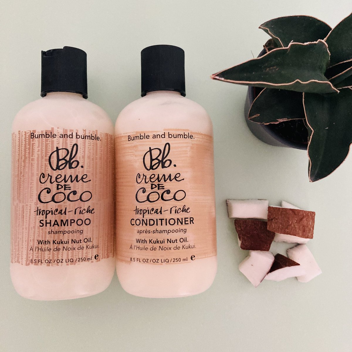 Nylon Hair Artists tweet media