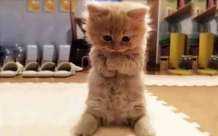 Alaa63680334's tweet photo. #العدل_لقضيه_الطباخ3ث
يارب بقا https://t.co/q1IZ9Go3Ux