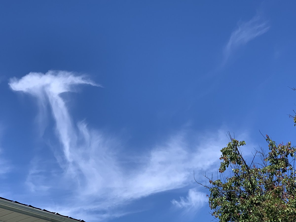 Markus de Domenico TCDSB WARD 2 Trustee Etobicoke tweet media