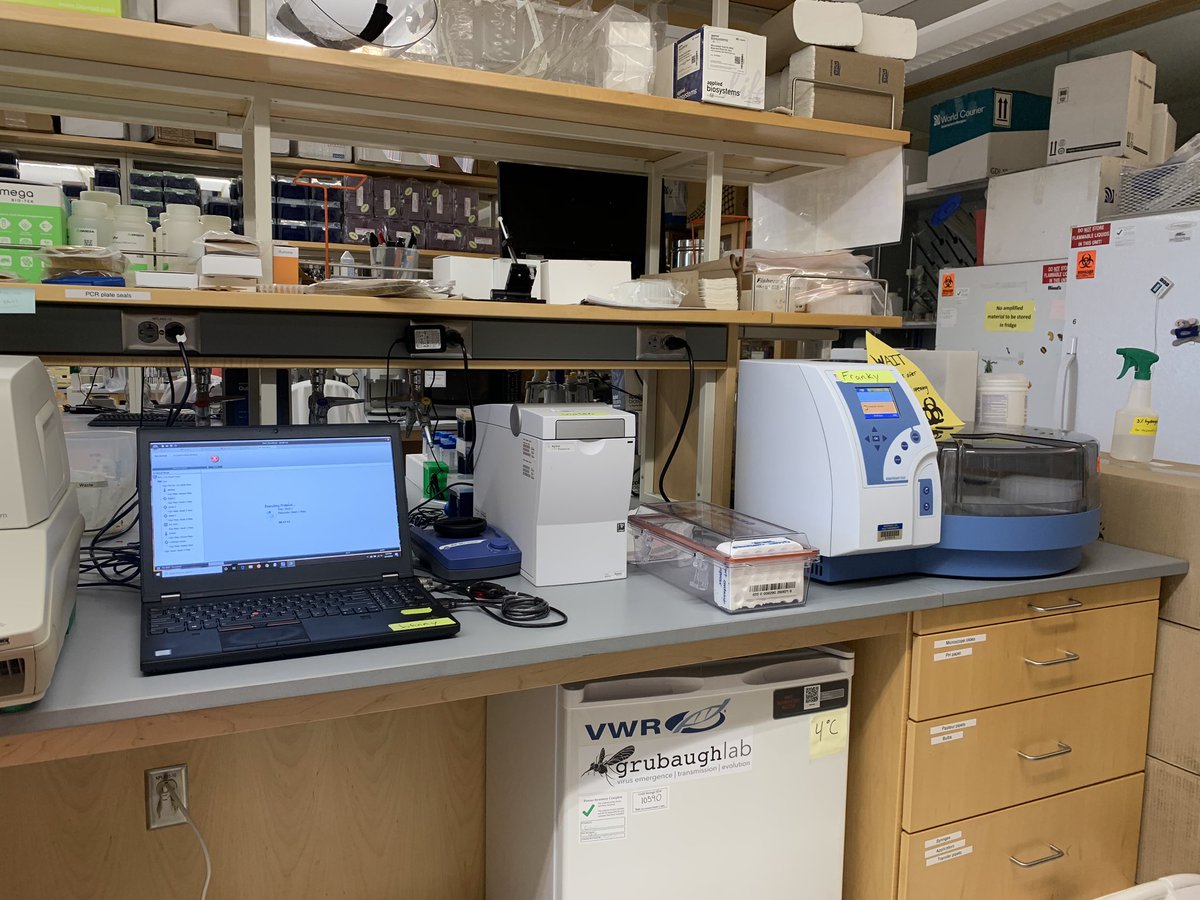 Since I’m on the solo Saturday RNA extraction shift, which has fewer samples and a more lenient timeline, I figured I could walk y’all through how we extract viral RNA for our  #COVID19 testing at  @YaleEMD while my extraction runs! [thread]
