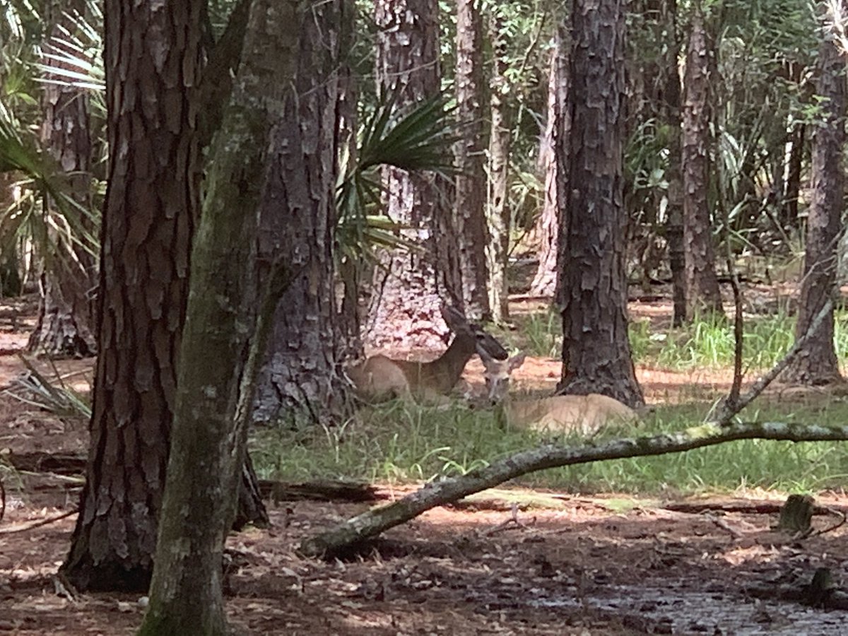 bernydohrmann.com share MY BADGE with law enforcement you know . Heal up out there ! We all need to love one another more ...