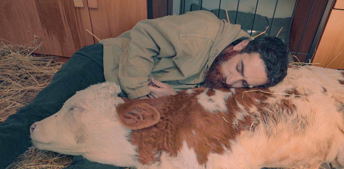 Yeni bölümümüz yarın saat 14.00’te <a href="/KanalD/">Kanal D</a> #hayattamircisi <a href="/hayattamircisi_/">Hasan Kızıl</a>  <a href="/dijitalsanatlar/">Dijital Sanatlar</a>