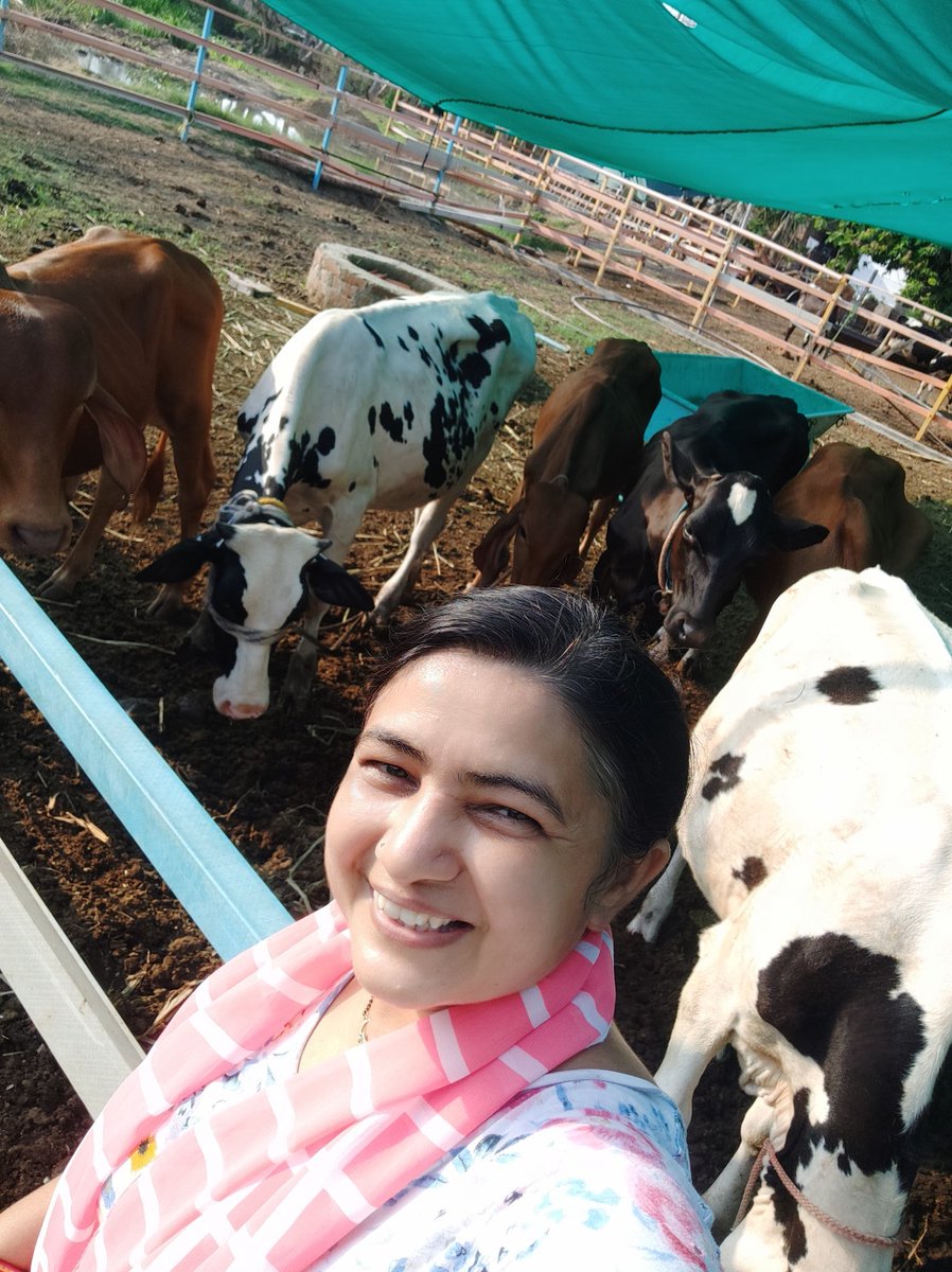 RashmikaVaghela's tweet photo. #selfiewithgomata
#ZeeNews
#SelfiewithCow https://t.co/o8nBpiz4Z6