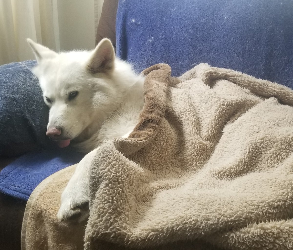 No caption necessary