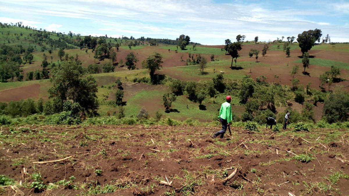 OfElgon's tweet photo. Destruction destruction destruction ! Mt Elgon forest which is one of the five water towers in Kenya is soon going to be no more.@StateHouseKenya @TobikoKeriako @KTNNewsKE @citizentvkenya @ntvkenya @ngaosKE @FredMatiangi https://t.co/ParmwT5OWi