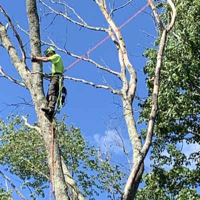 roachy_nuggs401's tweet photo. #NewProfilePic https://t.co/VkLfGTfYqE