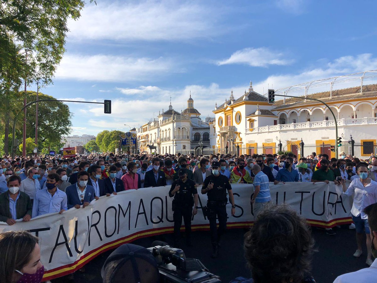 cristinapelaez's tweet photo. Miles de personas marchan desde la Maestranza y recorren el Paseo de Colón en defensa de la tauromaquia, felicidades a los organizadores de los #PaseosTaurinos por dar visibilidad a un amplio sector tan ligado a nuestras tradiciones y cultura popular, hoy  seriamente amenazados. https://t.co/wrwb7kxYYz