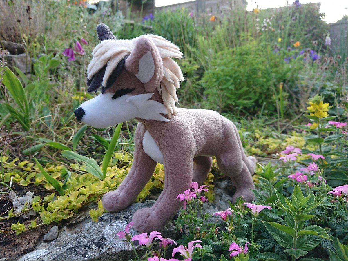 WerepuppyTweets's tweet photo. He is complete.
This boi is a gift for my mum.
Really happy with how he turned out.
#plushiesofinstagram #plushies #plushcraft #craft #sewing #furry https://t.co/HcFm7jOO1t
