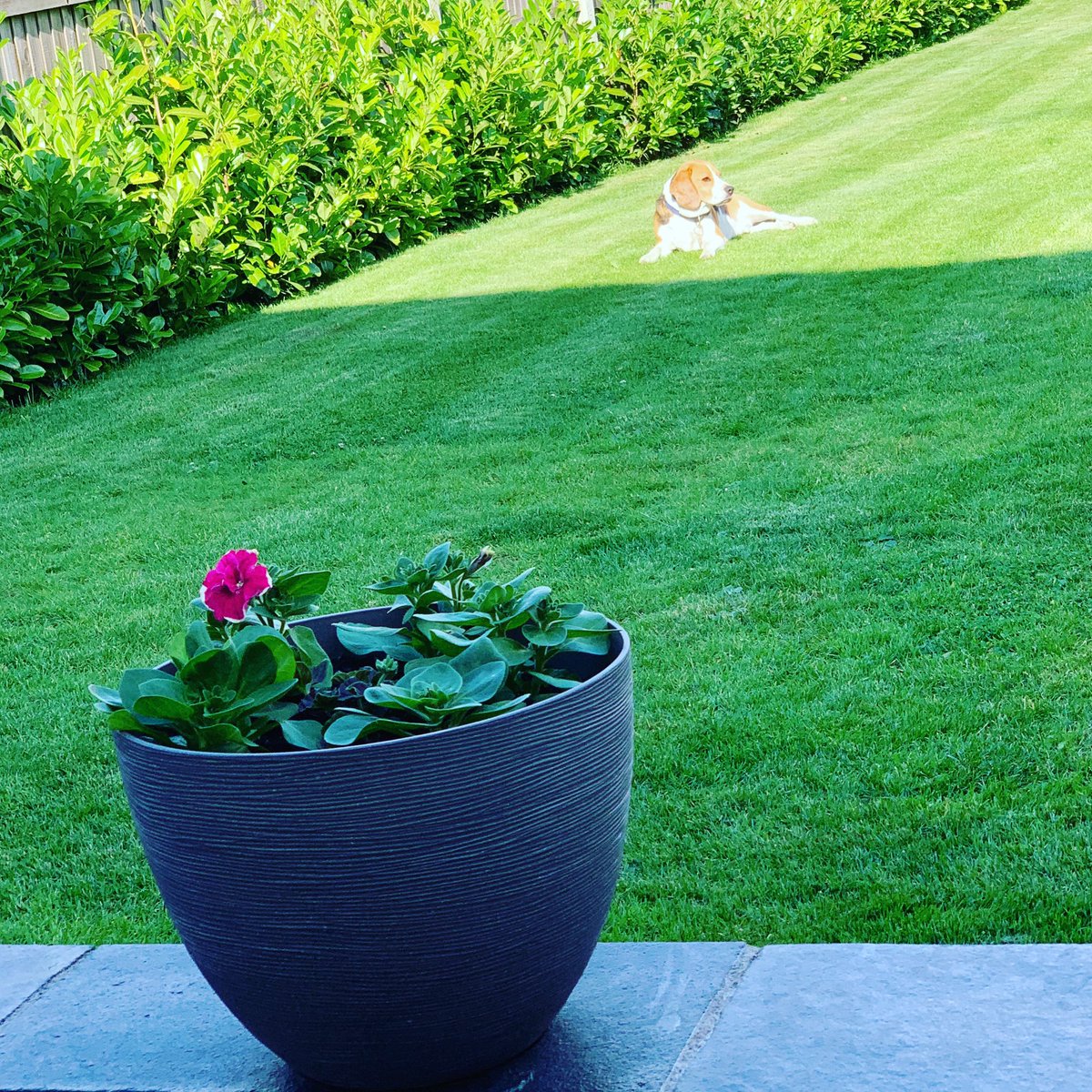 Lee Jefferies (@leejefferies14) on Twitter photo 