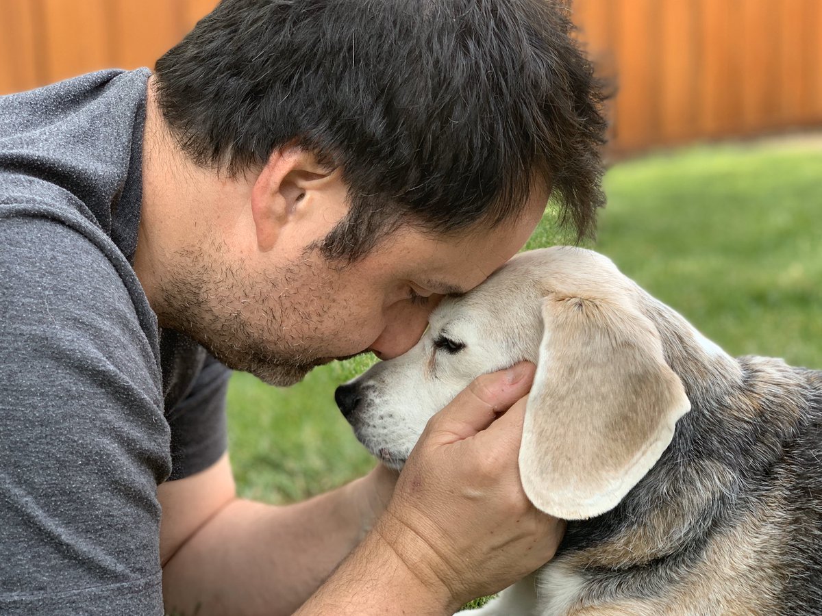 ConfabSammy's tweet photo. We had to say goodbye to our Sammy today. He was the sweetest and sassiest dog. Becky and I were lucky to have had 9+ great years with him. Thank you all for following his antics over the years. We will miss him so much. -Sean https://t.co/YdvffPS10N