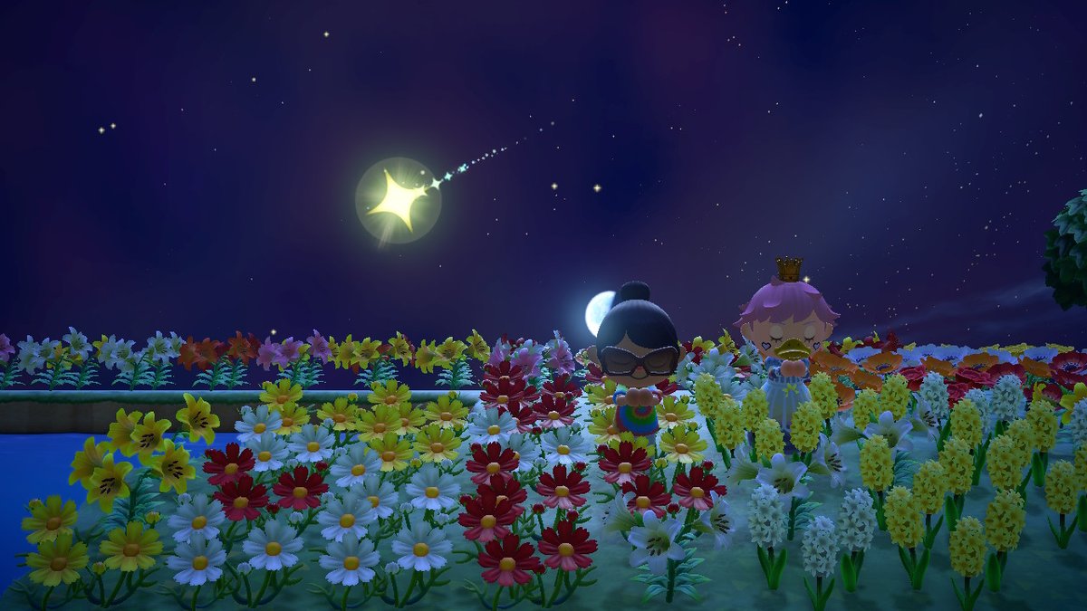 #AnimalCrossing #ACNH #NintendoSwitch