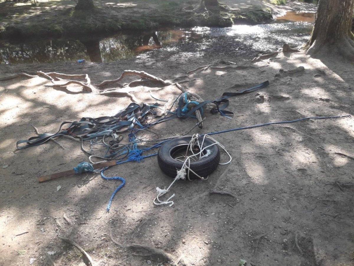 ❌⛔️ please don’t leave #deadly ☠️ropes they are potentially fatal ❌⛔️☠️ for #freeroaming #livestock and #wildlife becoming trapped #lovenature #leaveOnlyFootprints #NewForest @RealNewForest @NFVerderers thanks @EngNewForest @TimGoldfinch1 for help 🙏