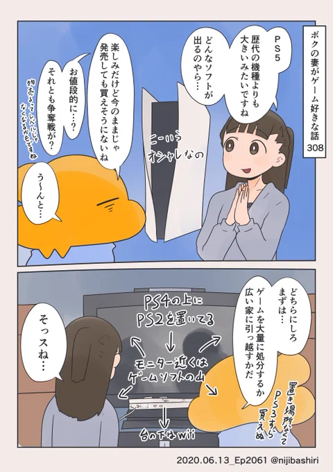 だいたい妻が欲しがった物です 