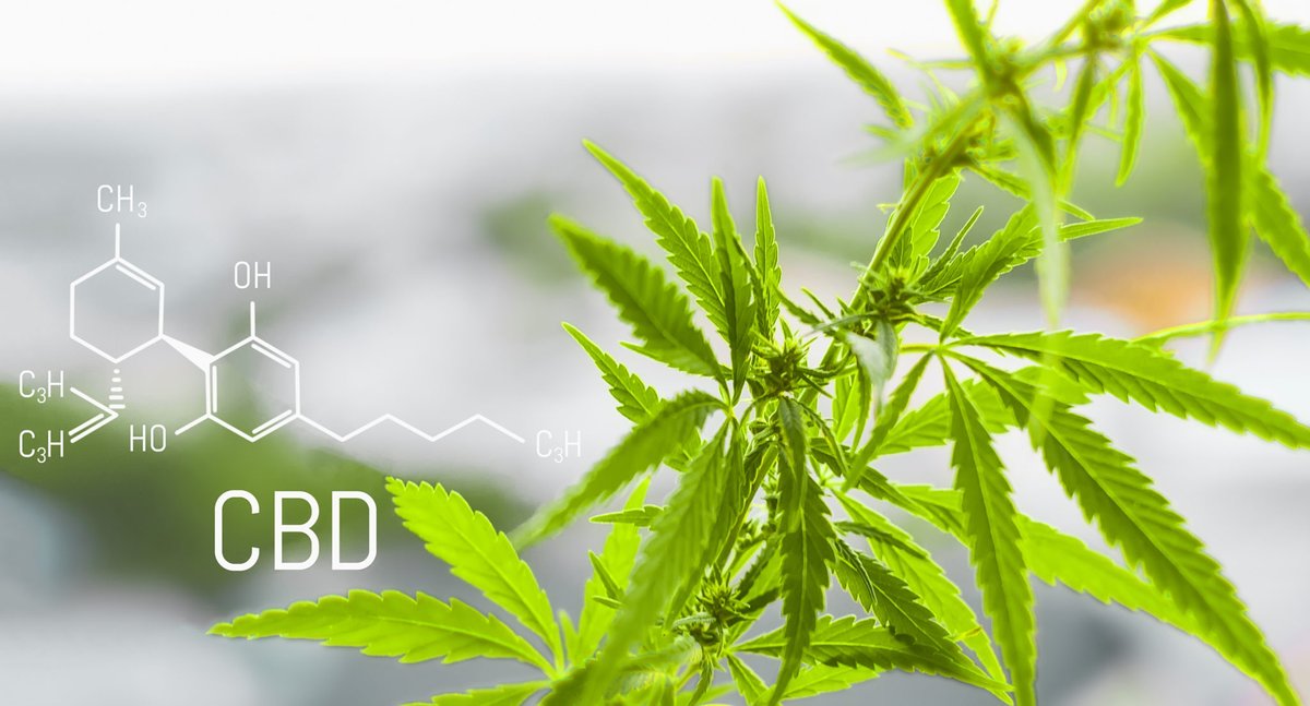 MinistryofHemp's tweet photo. Don't get confused about the different kinds of #CBD ... 

Our guide to full-spectrum, broad-spectrum and CBD isolate: https://t.co/FHFzpZ6dzI https://t.co/dnC2BsfKhw