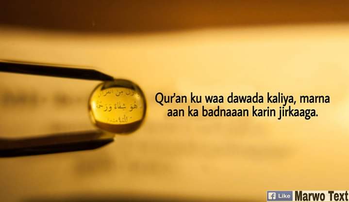 morahman143's tweet photo. #wxu ku yahy dawo #quranka https://t.co/woAfAe6pTM