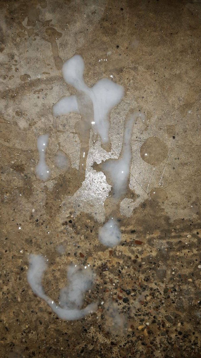 Grken19's tweet photo. Yaş 24
Kilo 68
Boy 1.65 #urfapasif #şanlıurfapasif #urfagay #şanlıurfagay #şanlıurfasex #urfasex #şanlıurfaescort #urfaescort #şanlıurfatravesti #urfatravesti https://t.co/UJXlqjv26N https://t.co/2WKPs7HrAr