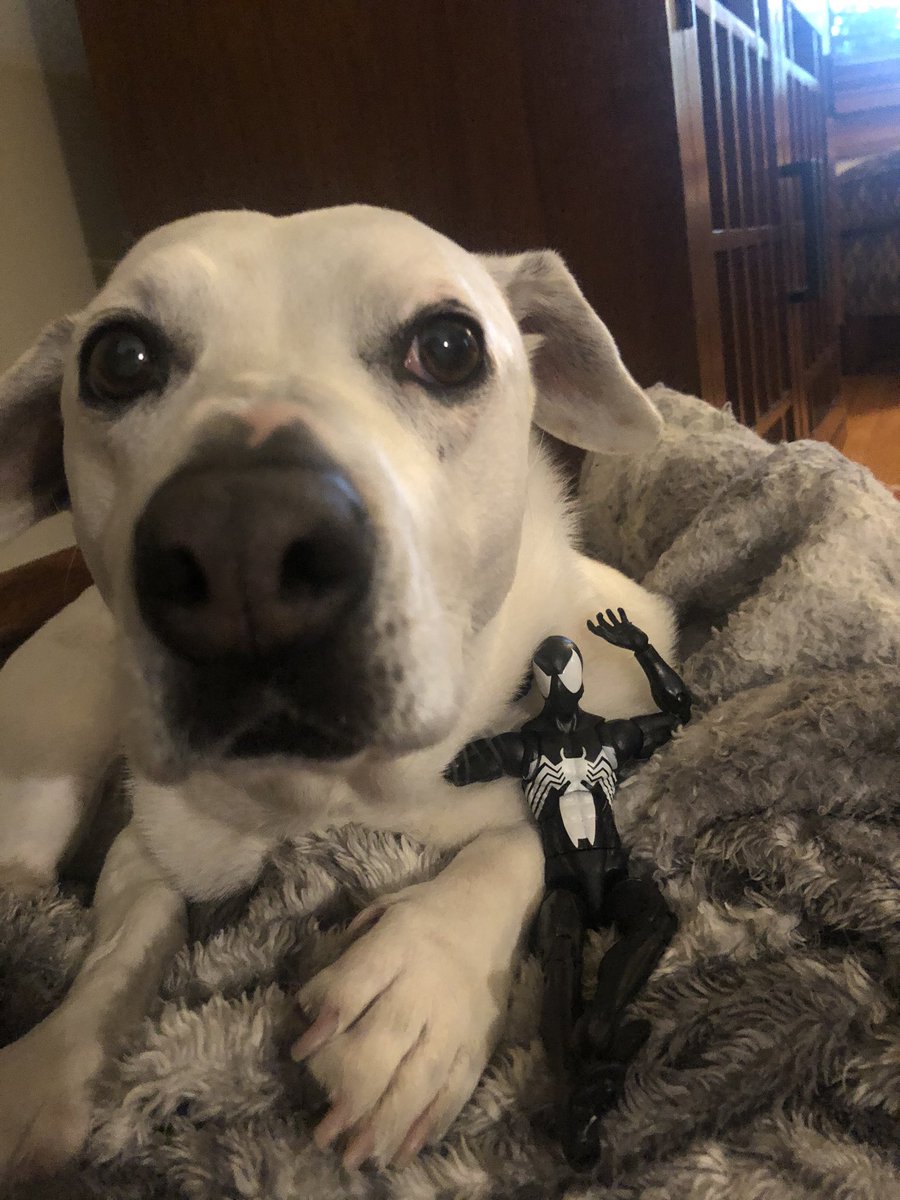 Ed Beringer tweet media