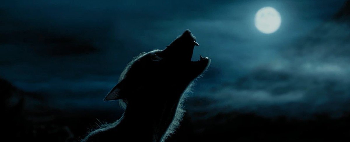 EiProfeta's tweet photo. Se cumplen 16 años del estreno de “Harry Potter y el Prisionero de Azkaban”. Sin duda, una de las mejores películas de toda la saga. https://t.co/d22QQkonxI