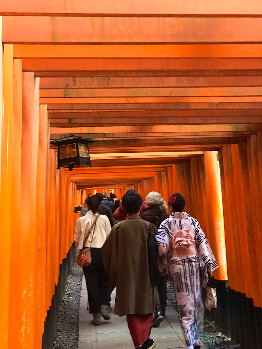 Day 69: said it before but I didn’t enjoy the visit to the torii gates at the Fushimi Inari Shrine. It was hot, packed & a tad claustrophobic. Still, been there, got the photo...  #Japan  #Kyoto  #FushimiInariTaisha