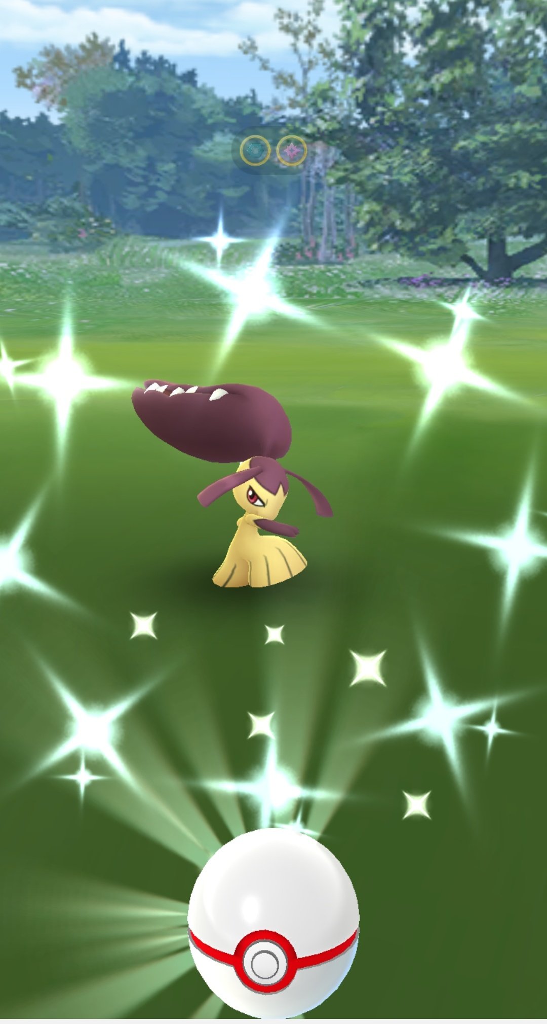 ポケモンgo Raichu744 やっとクチートの色違いが出た かなり欲しかったポケモンだからどれだけクチートのレイドをやったか ポケモンgo 色違い T Co 6mjafisgbf Twitter