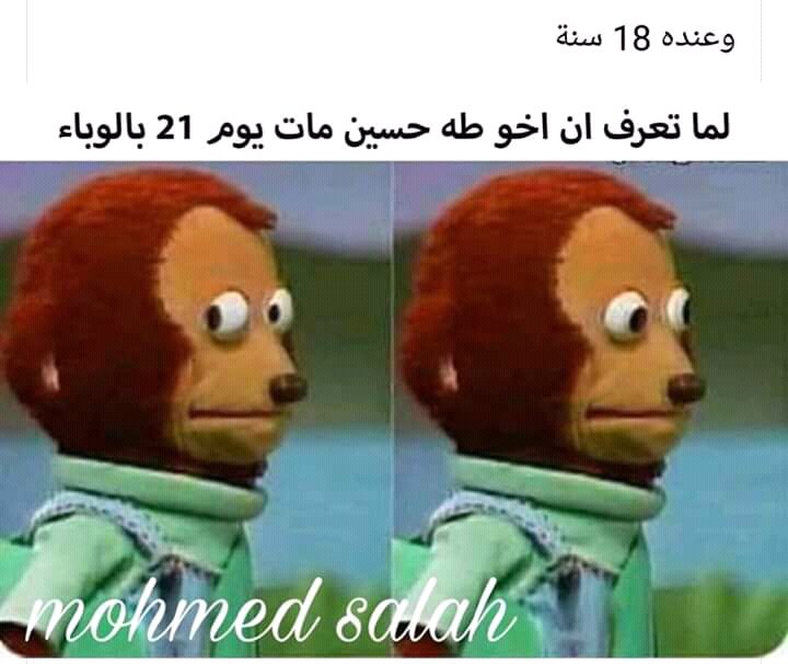 AbdelrhamanAmi2's tweet photo. يلا يا ابطال احنا اقضها +مش يكون مصيرنا زي اخو طه حسين 
#العدل_لقضيه_الطباخ3ث https://t.co/wLFSGHisS5
