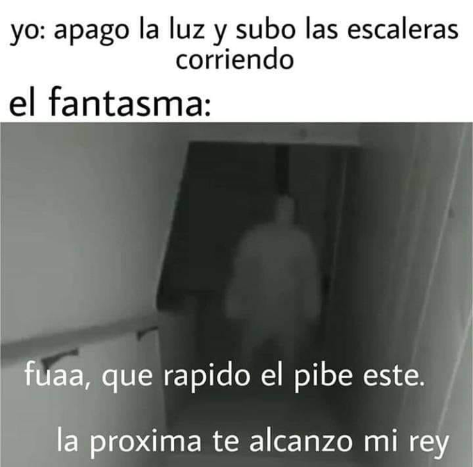 【=◈︿◈=】 tweet media