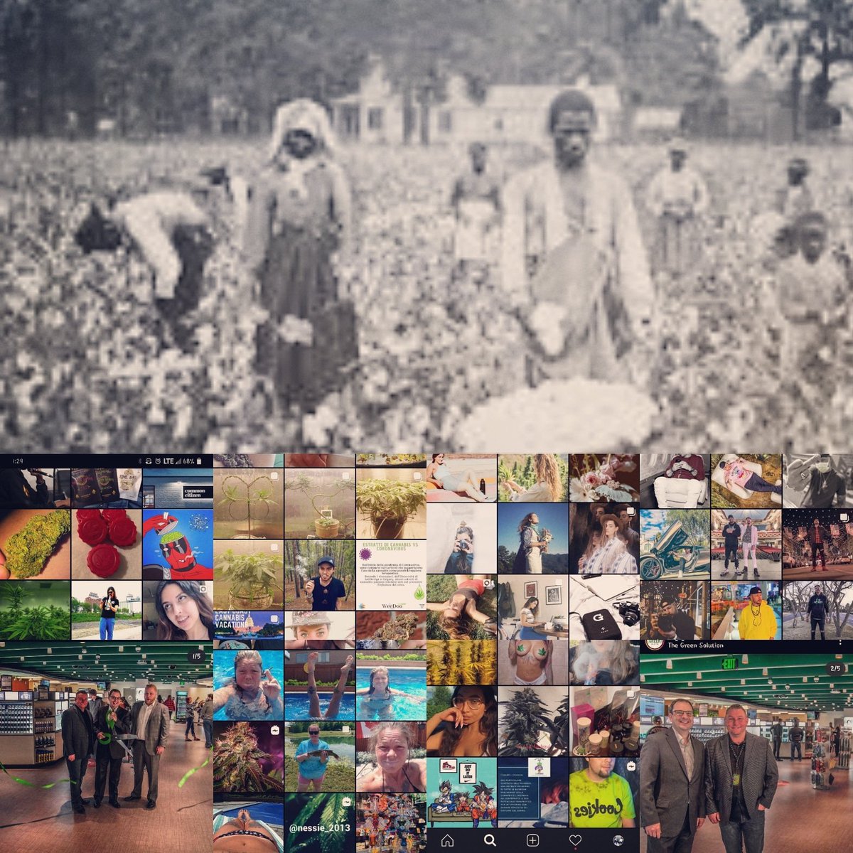 DonQuenick's tweet image. #BlackSlaves picking cotton #Cannabisinfluencer look like #cannabisindustry #cannabisculture #CannabisCommunity look like the Former Masters making money #SystemicRacism you are apart of the problem #GIVEUSOURHARVEST #cottontocannabis