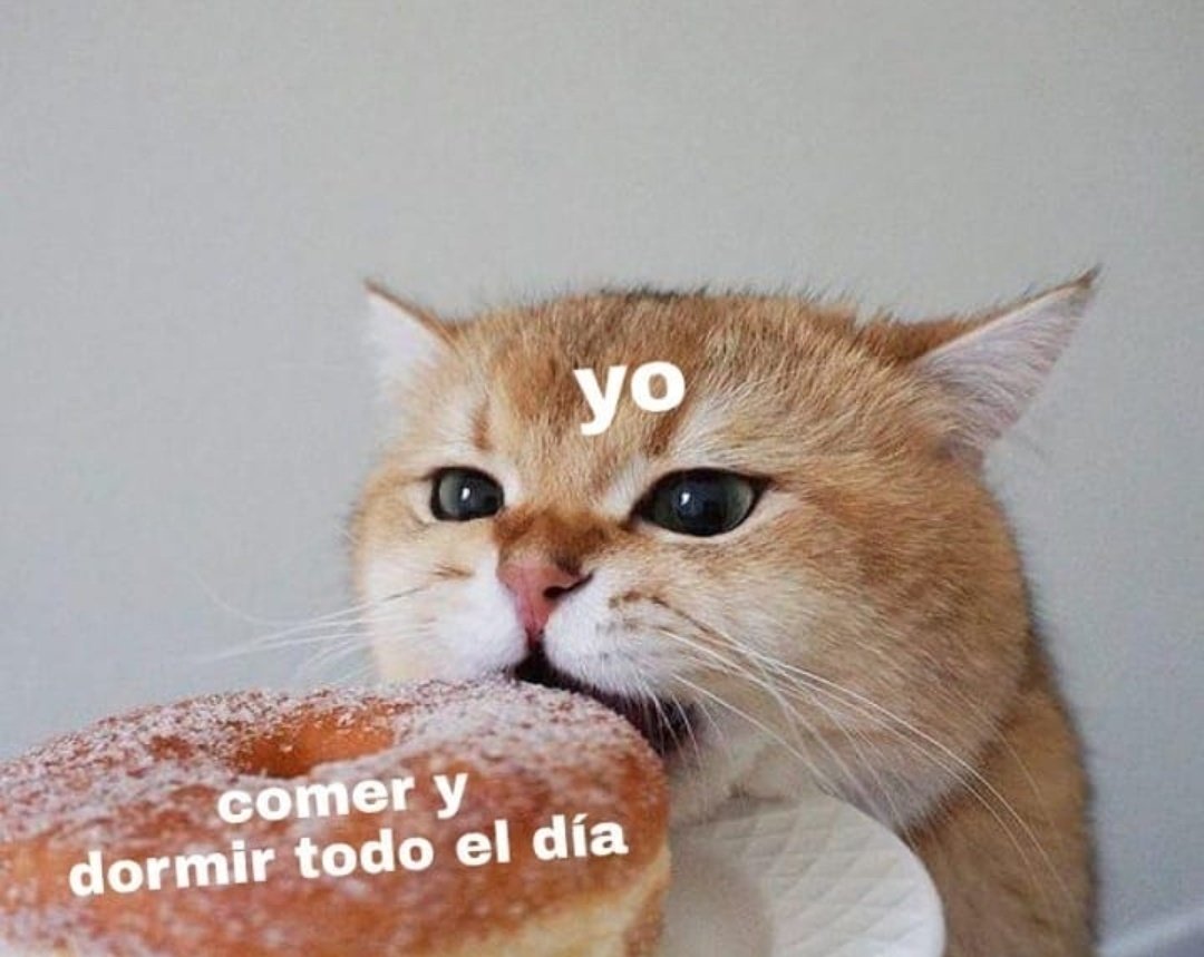 michisparati's tweet photo. Mas yo no puede ser https://t.co/03rG4zCrYr