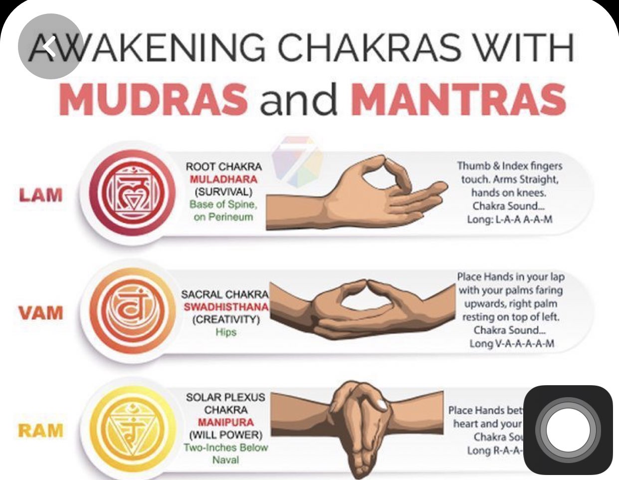 Mudras: The Power of Hand Gestures
