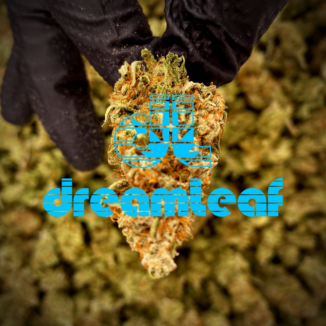DreamleafFarms's tweet photo. https://t.co/z7tr39EG64