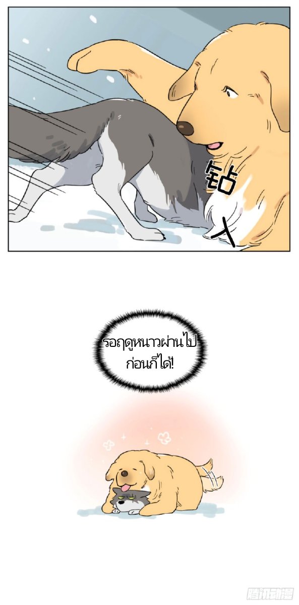 หยุดอ้วนไม่ได้จริงๆ tweet media