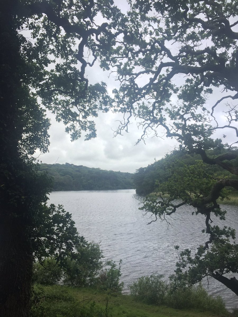 RebeccaLWills's tweet photo. So blessed to live in such a beautiful place! Even when the sun is missing in action! #Cornwall #Summer #LoePool https://t.co/7Q9iREKHBS