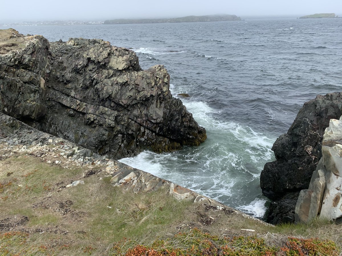 MmeBennett tweet media