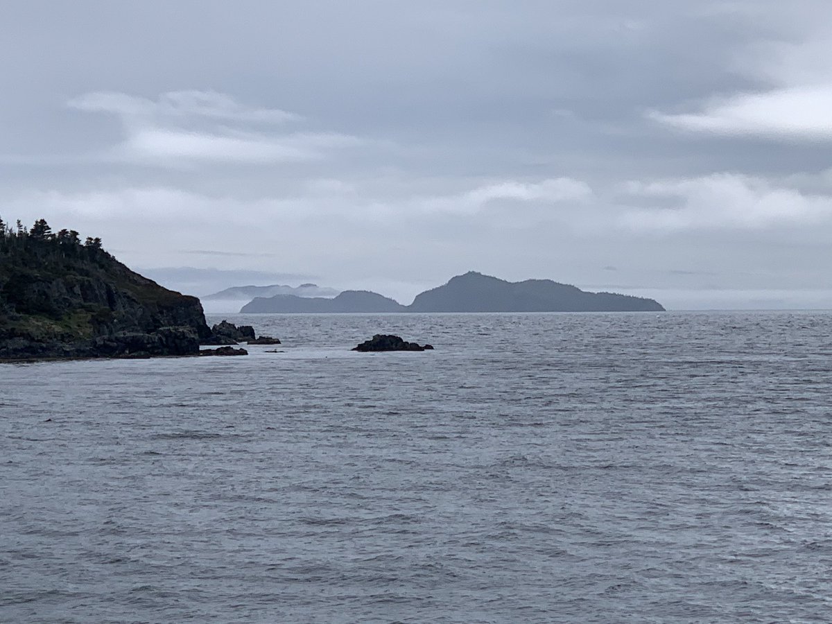 MmeBennett tweet media