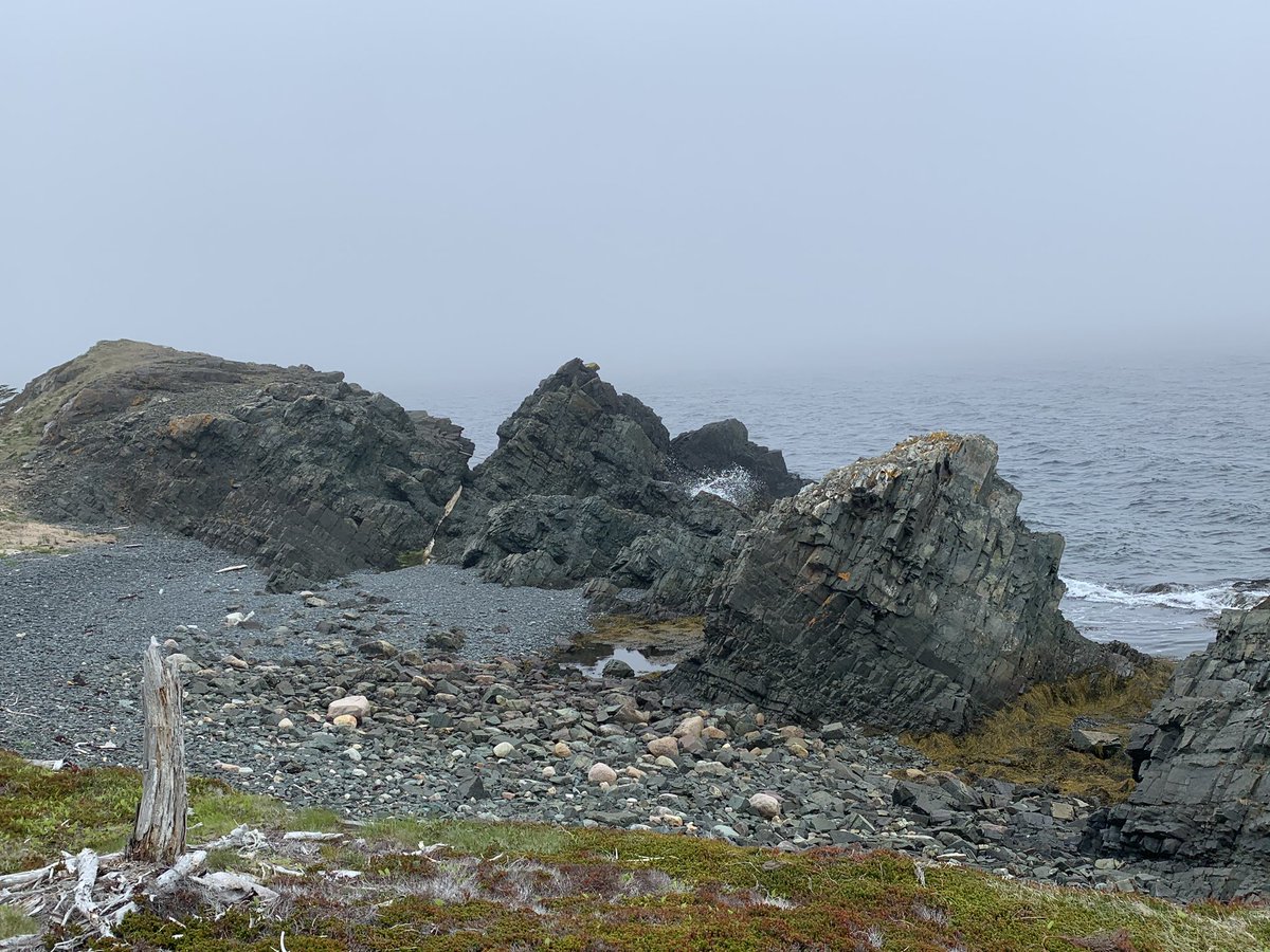 MmeBennett tweet media