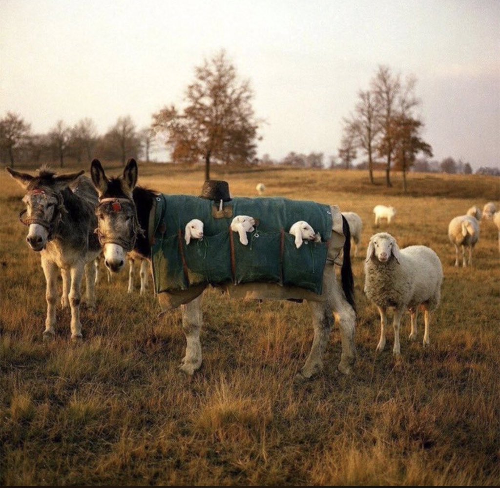 Kalbimi bıraktım🌾