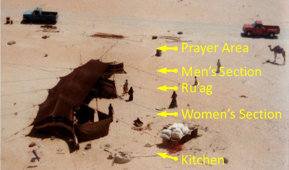 molowey's tweet photo. A typical Bedouin encampment near Ain Dar.
(Aerial photography by Mark Lowey ©1979) #SaudiArabia #KSA https://t.co/eXil2SqgPR