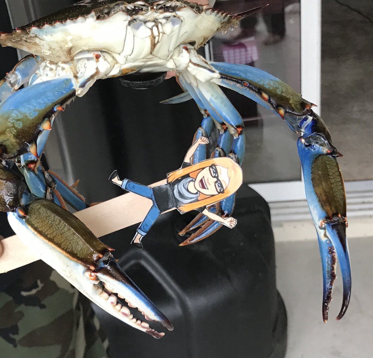 Shawn R. McGuigan (@shawnmcguigan) on Twitter photo #FlatMrsMarsh auditions for a remake of #AttackoftheCrabMonsters! <a href="/keclose/">Katie Bentley Marsh</a> <a href="/CitrusGrove_VCS/">Citrus Grove Elementary, Deland FL</a> #FlatMrsMarsh auditions for a remake of #AttackoftheCrabMonsters! <a href="/keclose/">Katie Bentley Marsh</a> <a href="/CitrusGrove_VCS/">Citrus Grove Elementary, Deland FL</a>