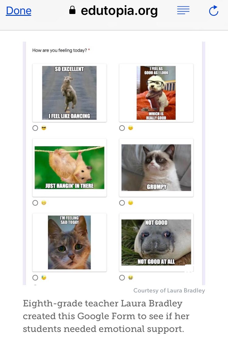 Anita Tjan Creative Way Of Asking How Ss Are Feeling Google Forms W Memes Made By 8th Grade Teacher Laura Bradley Googleforedu Coronavirusteaching T Co 84xaeosjh1