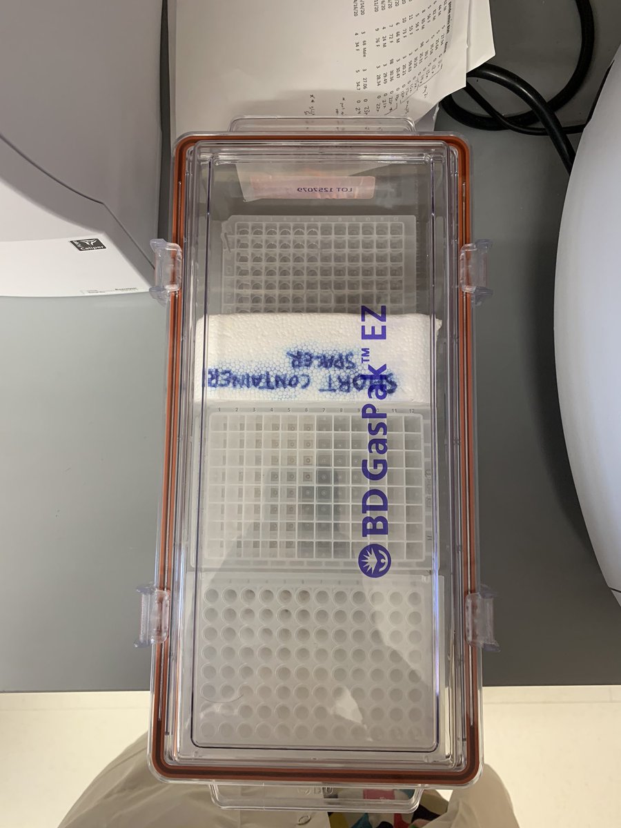 At the end of the run, elution buffer un-sticks the RNA from the mag beads, and the mag beads get pulled out by the tip comb. At this point, we transfer out all the plates and take them back to the BSC for final processing. [12/n]