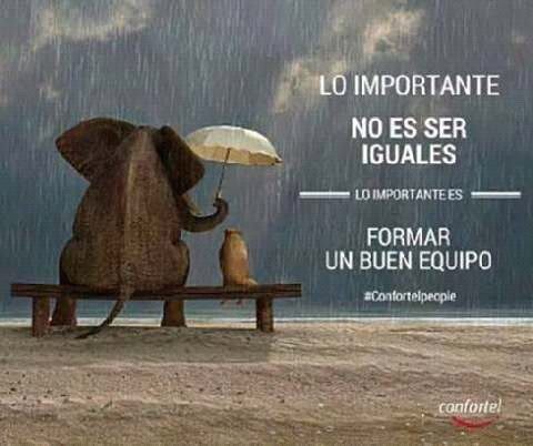 AtrapaVivefeliz tweet picture