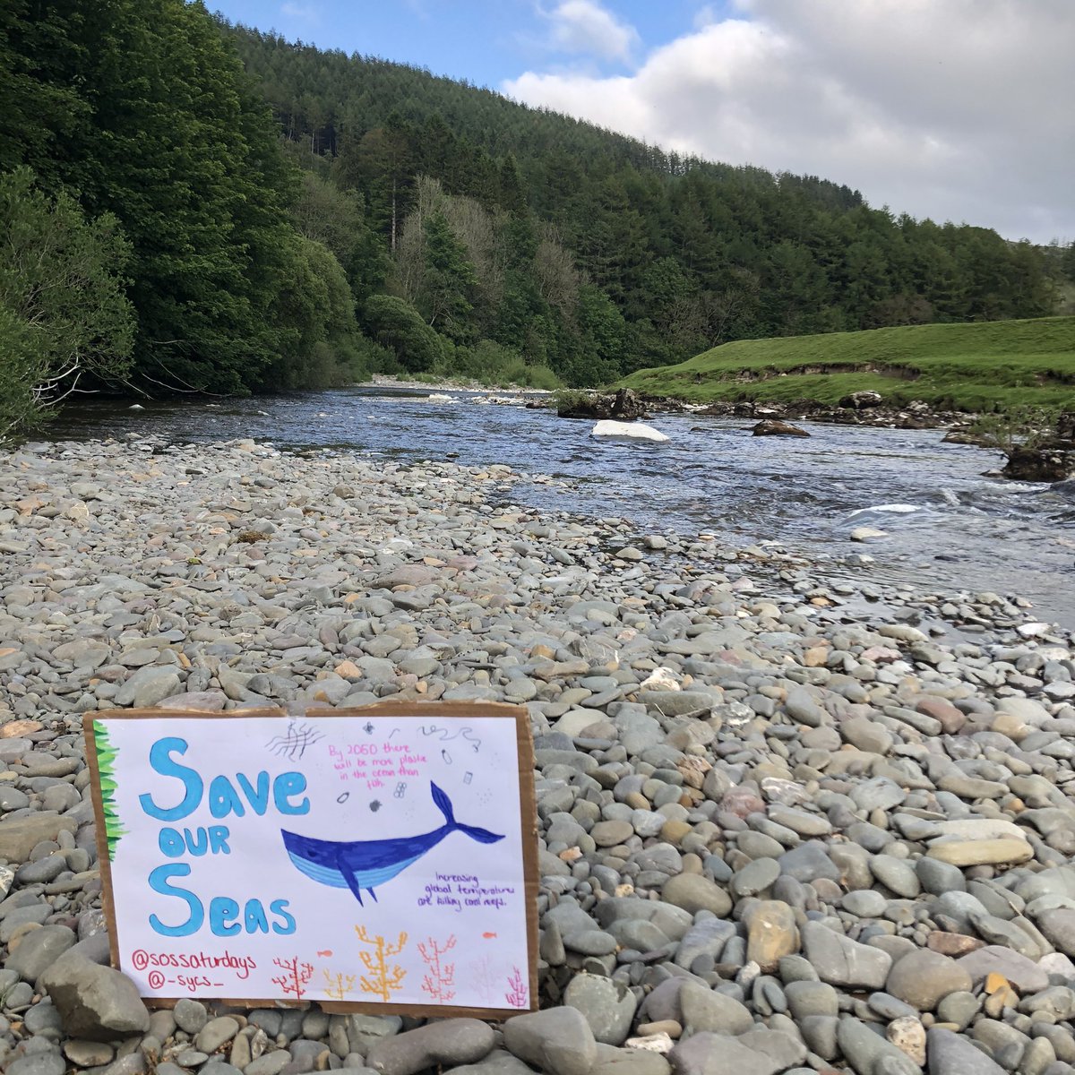 Cerys🌻 (@cerysgough) on Twitter photo Week 24 #SOSSaturdays <a href="/SosSaturdays/">Save Our Seas Saturdays</a>- we have 10 years to reduce carbon emissions or risk climate change being irreversible. We also have 10 yrs to take action to restore the oceans to their former glory. The decisions we make for our planet this decade will define our future🐋🌊 Week 24 #SOSSaturdays <a href="/SosSaturdays/">Save Our Seas Saturdays</a>- we have 10 years to reduce carbon emissions or risk climate change being irreversible. We also have 10 yrs to take action to restore the oceans to their former glory. The decisions we make for our planet this decade will define our future🐋🌊