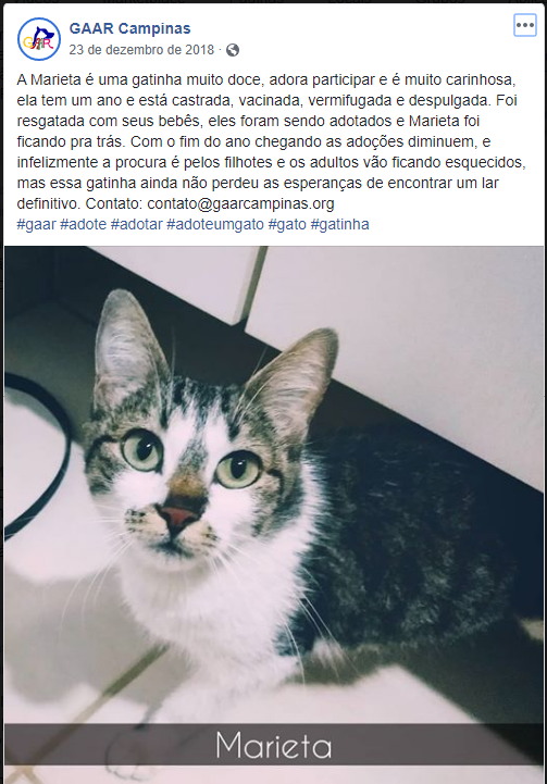 cauanbaka's tweet photo. o inicio de um sonho / DEU CERTO DEMAIS https://t.co/WjGJ4AFuEa