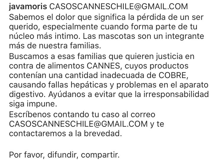 Daniela García Beyer tweet media
