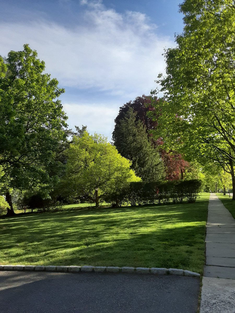 01Starblazer's tweet photo. Went for a walk in my beautiful town listening to 80's alternative music.#SavedByZero https://t.co/lPvylgOKeq